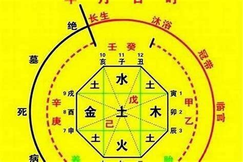 八字五行命盤|生辰八字算命、五行喜用神查詢（免費測算）